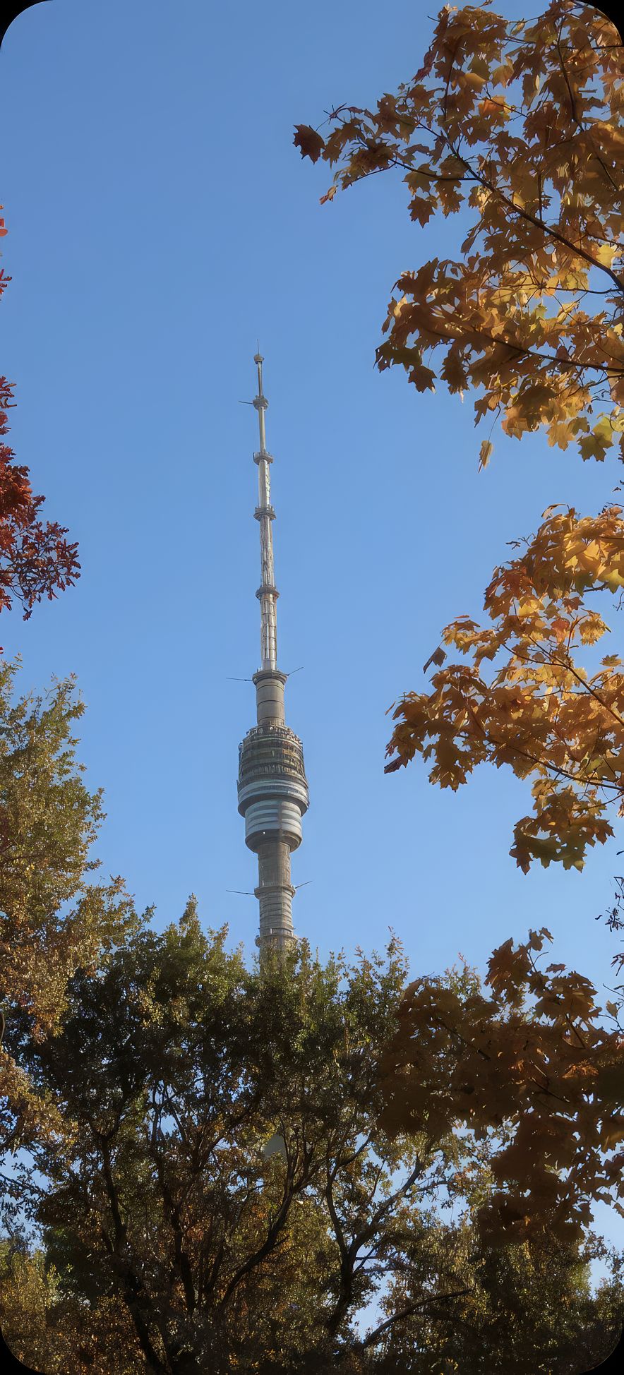 Останкинский парк